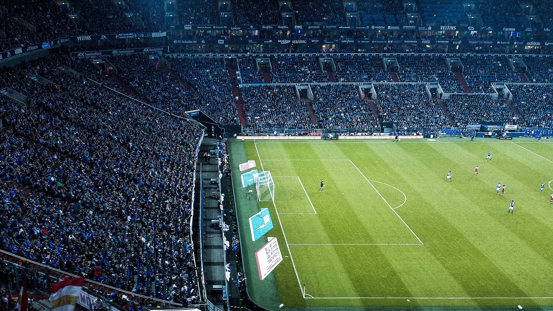 拉尼·帕利斯特赛后谈心路历程,帕尼尼利拉德